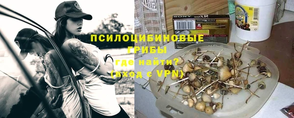 прущая мука Вяземский