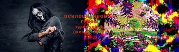 прущая мука Вяземский