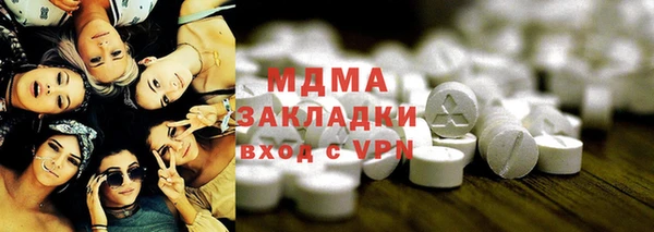 сатива Бородино
