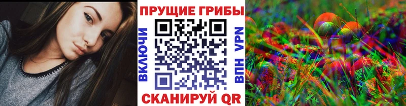 kraken ONION  Гусев  Галлюциногенные грибы Psilocybe 